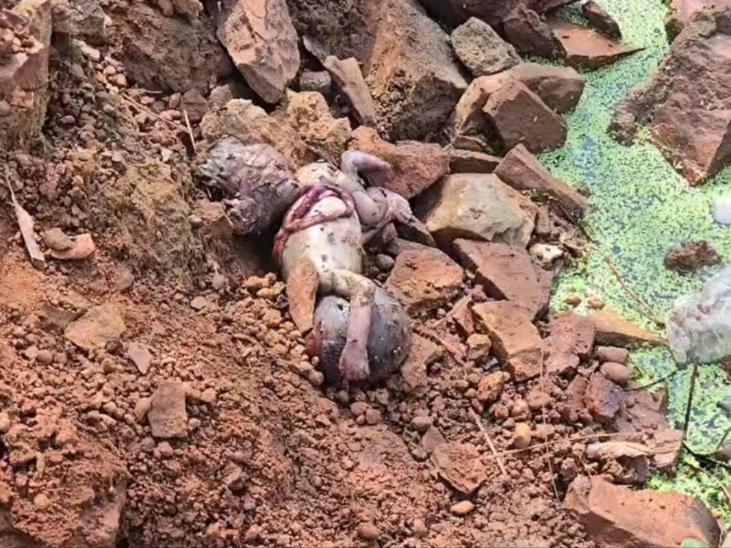 Developed foetus found by a pond in Raipur, causing a stir in the area; this is the second such incident to come to light