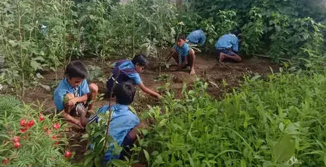 रायपुर के सरकारी स्कूलों में बनेंगे किचन गार्डन, बच्चों को मिलेंगे ताजे फल-सब्जियां मिड-डे मील होगा और पौष्टिक